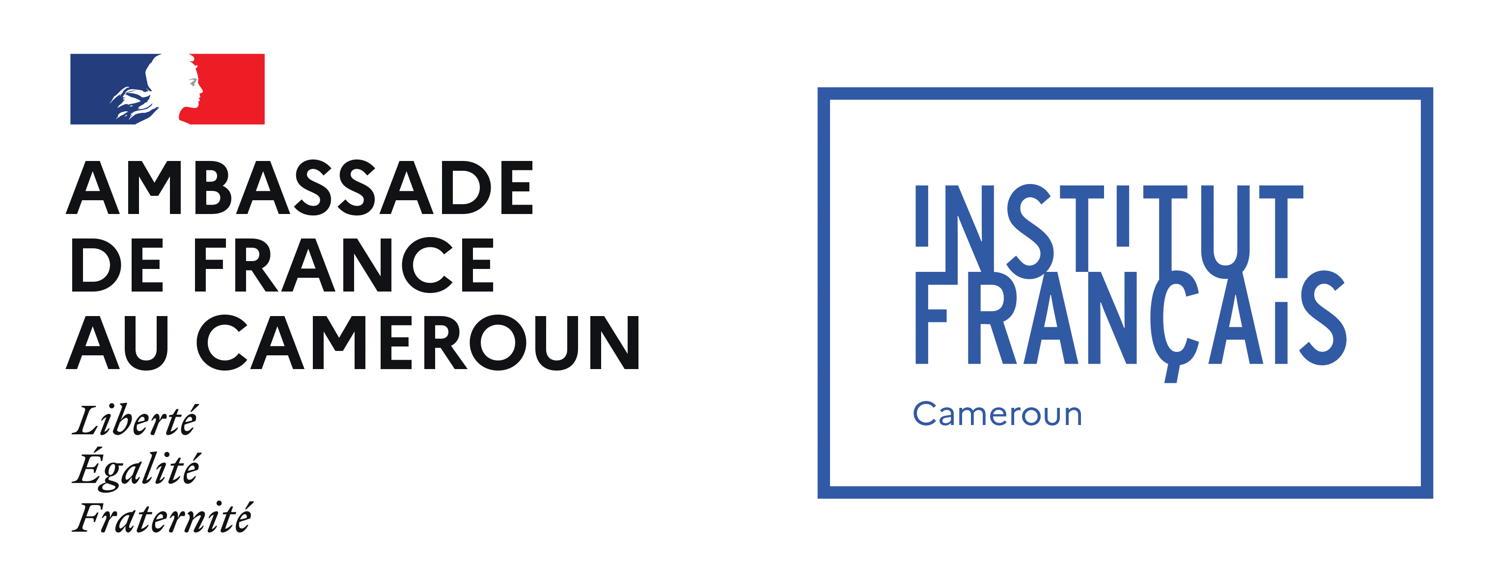 Institut Français